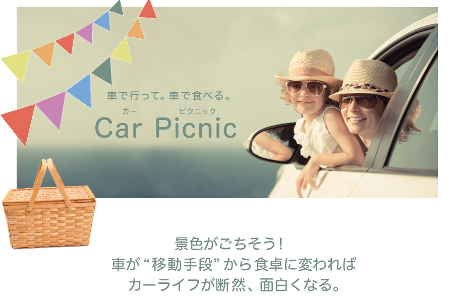 Car Picnic